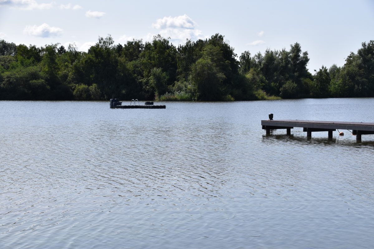 Kleine rietplas, Meren